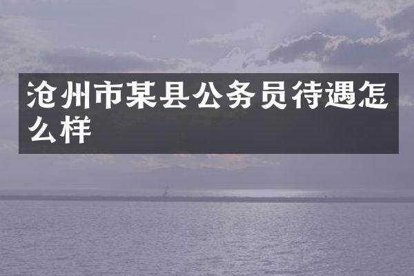 沧州市某县公务员待遇怎么样