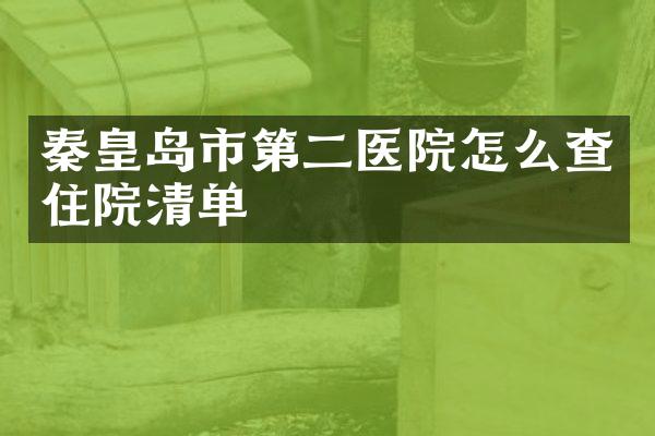 秦皇岛市第二医院怎么查住院清单