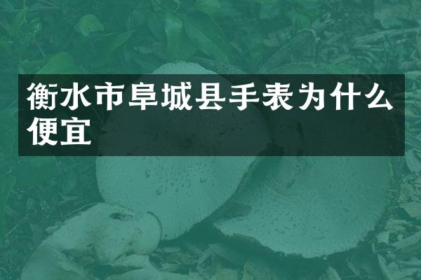 衡水市阜城县手表为什么便宜