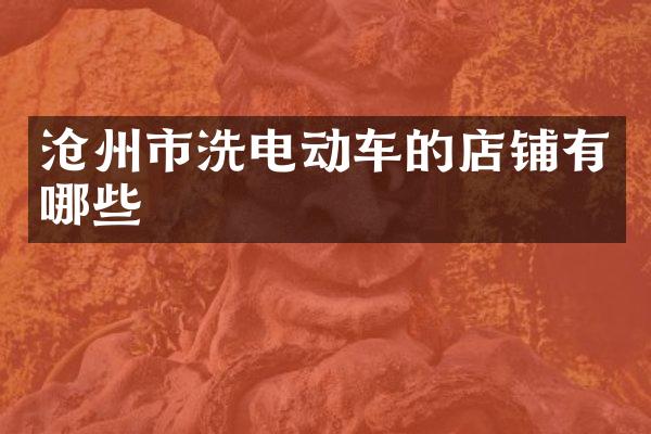 沧州市洗电动车的店铺有哪些