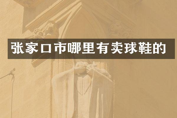 张家口市哪里有卖球鞋的