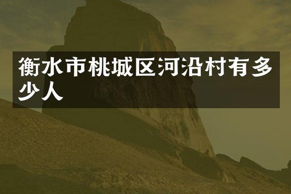 衡水市桃城区河沿村有多少人