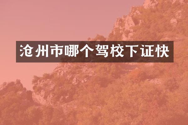 沧州市哪个驾校下证快