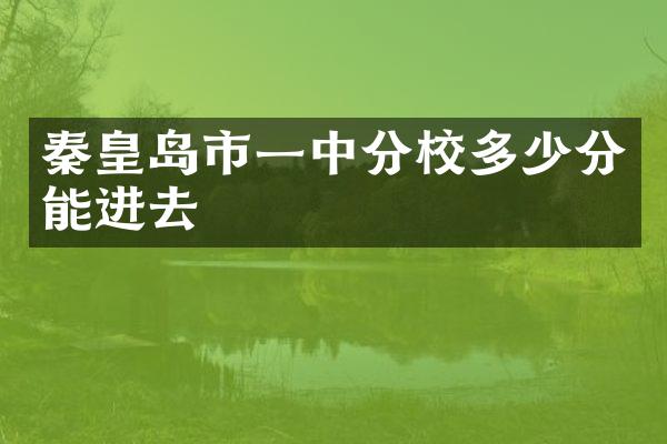 秦皇岛市一中分校多少分能进去