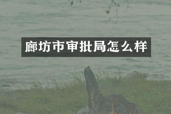廊坊市审批局怎么样