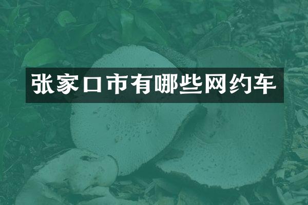 张家口市有哪些网约车