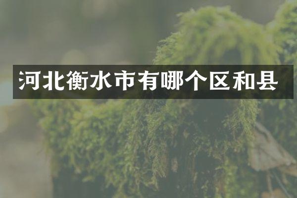 河北衡水市有哪个区和县