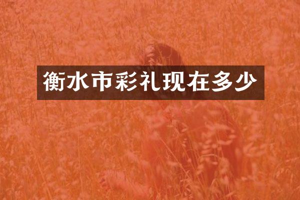 衡水市彩礼现在多少