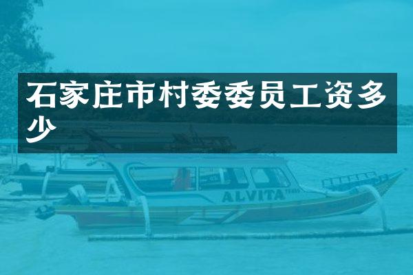 石家庄市村委委员工资多少