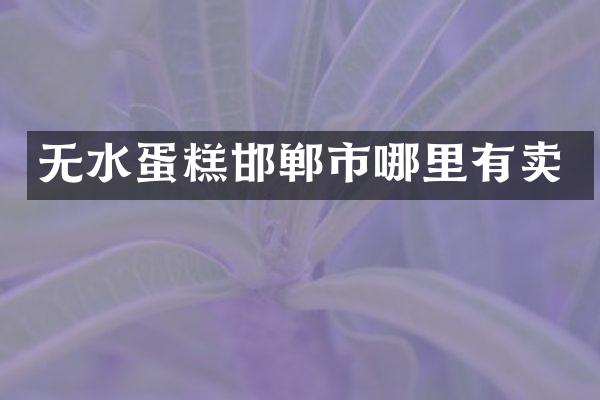无水蛋糕邯郸市哪里有卖