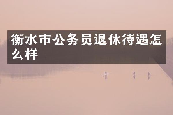 衡水市公务员退休待遇怎么样