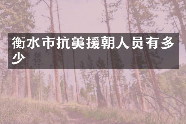 衡水市抗美援朝人员有多少