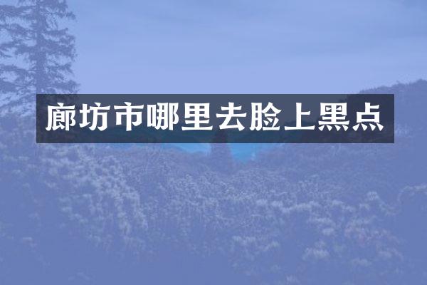 廊坊市哪里去脸上黑点