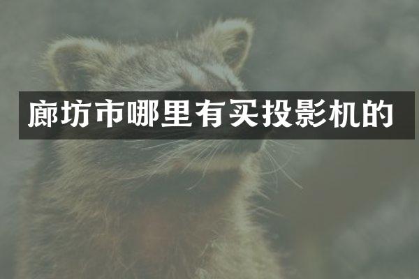 廊坊市哪里有买投影机的
