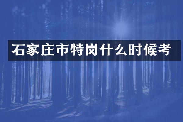 石家庄市特岗什么时候考