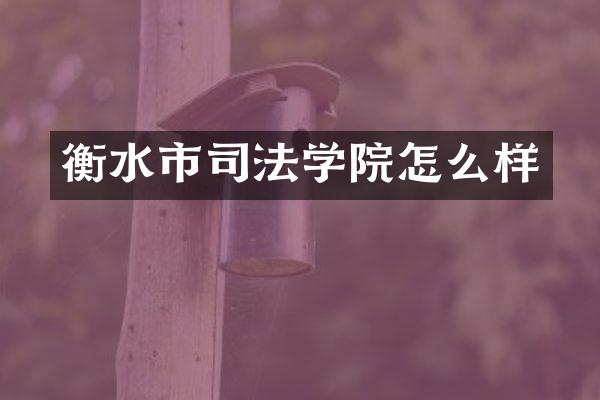 衡水市司法学院怎么样