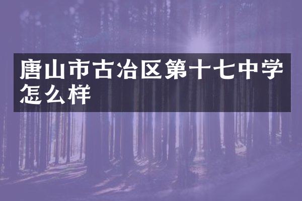唐山市古冶区第十七中学怎么样