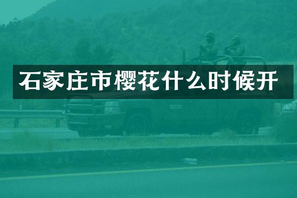 石家庄市樱花什么时候开