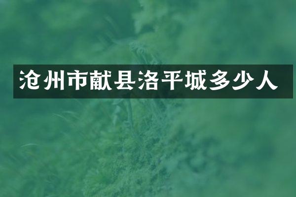 沧州市献县洛平城多少人