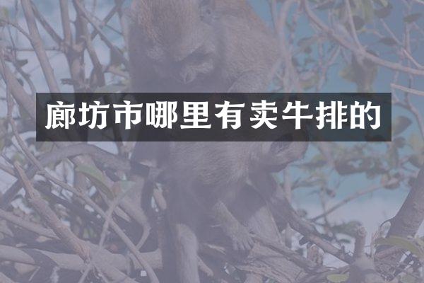 廊坊市哪里有卖牛排的