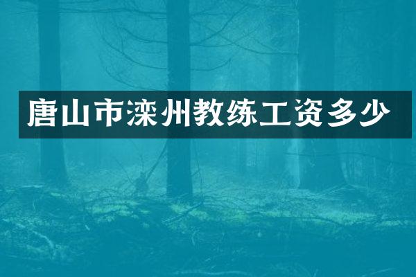 唐山市滦州教练工资多少