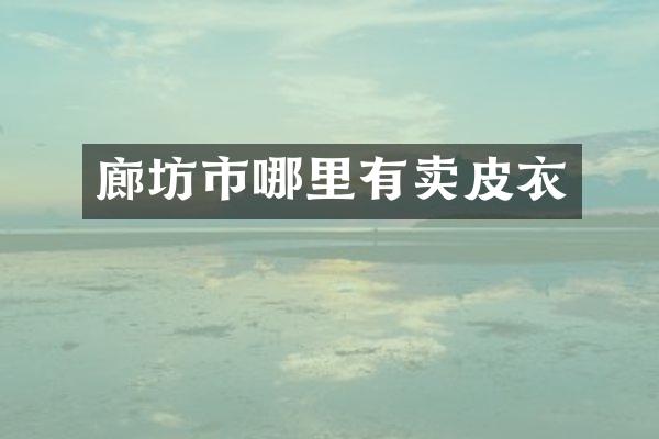 廊坊市哪里有卖皮衣
