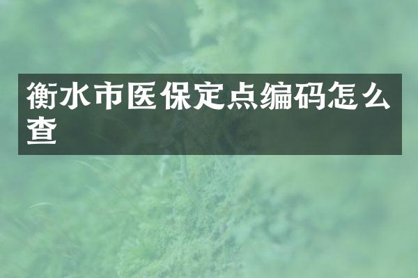 衡水市医保定点编码怎么查