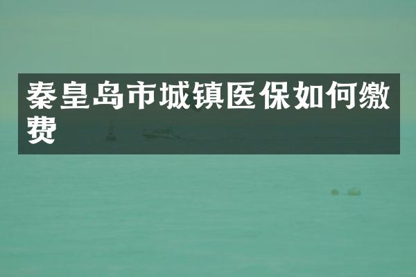 秦皇岛市城镇医保如何缴费