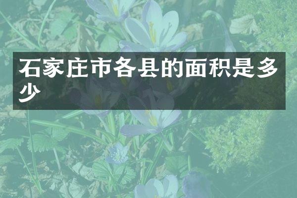 石家庄市各县的面积是多少