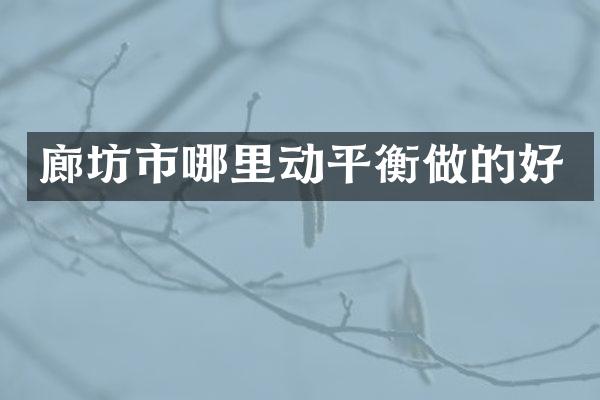 廊坊市哪里动平衡做的好