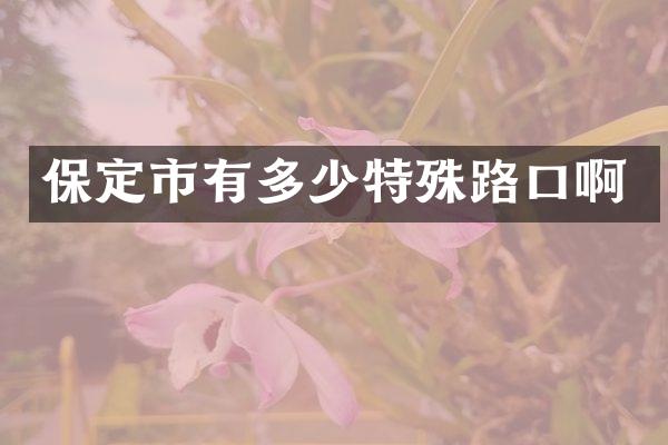 保定市有多少特殊路口啊