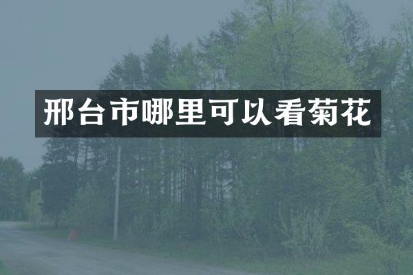 邢台市哪里可以看菊花