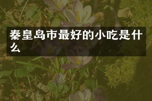 秦皇岛市最好的小吃是什么
