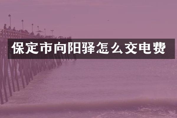 保定市向阳驿怎么交电费