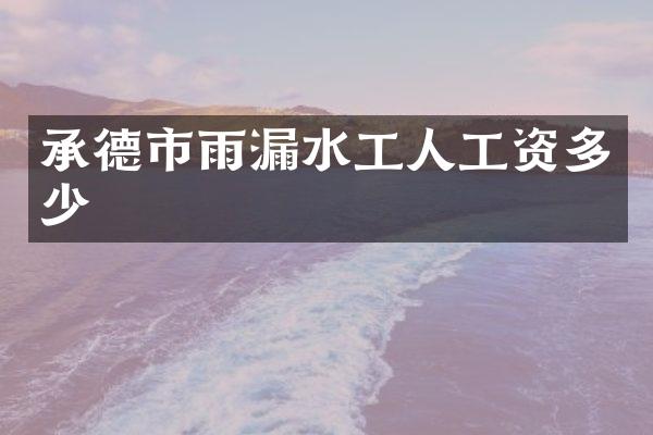 承德市雨漏水工人工资多少