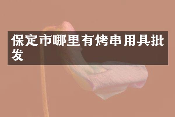 保定市哪里有烤串用具批发