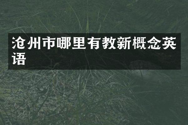 沧州市哪里有教新概念英语