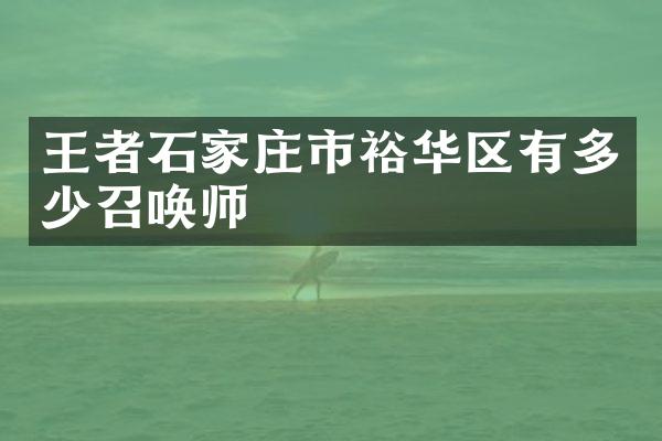 王者石家庄市裕华区有多少召唤师