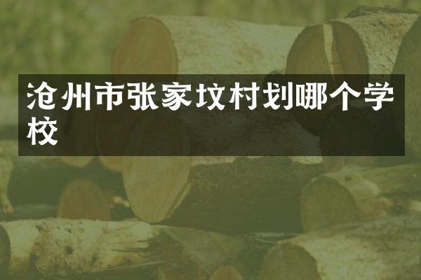 沧州市张家坟村划哪个学校