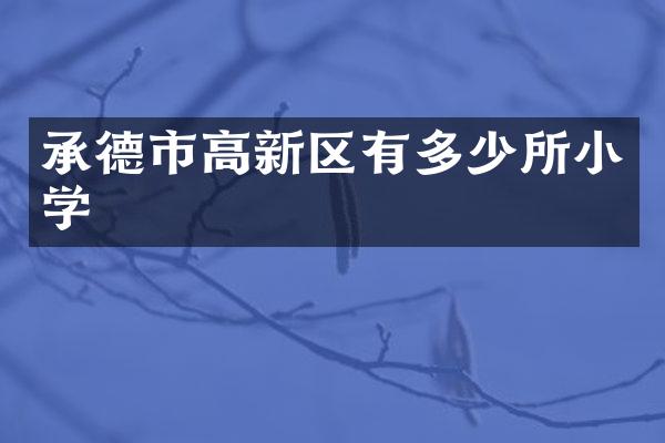 承德市高新区有多少所小学