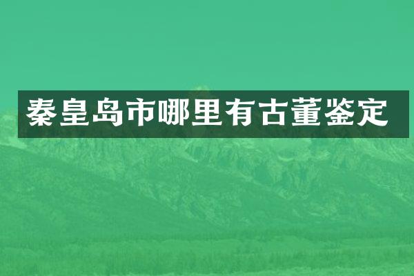 秦皇岛市哪里有古董鉴定