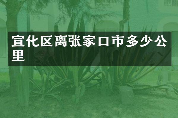 宣化区离张家口市多少公里