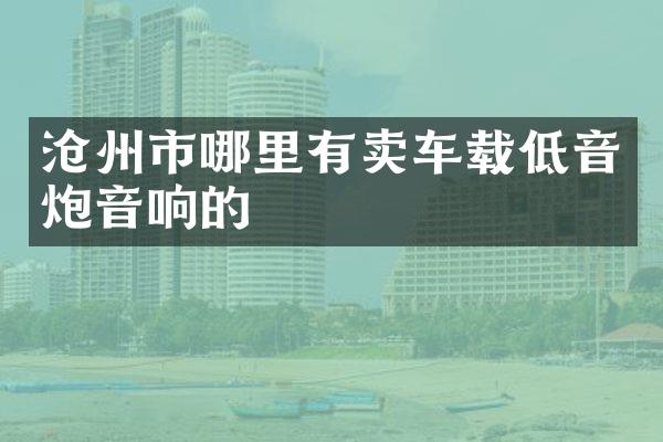 沧州市哪里有卖车载低音炮音响的
