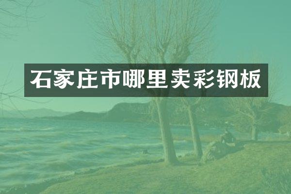 石家庄市哪里卖彩钢板