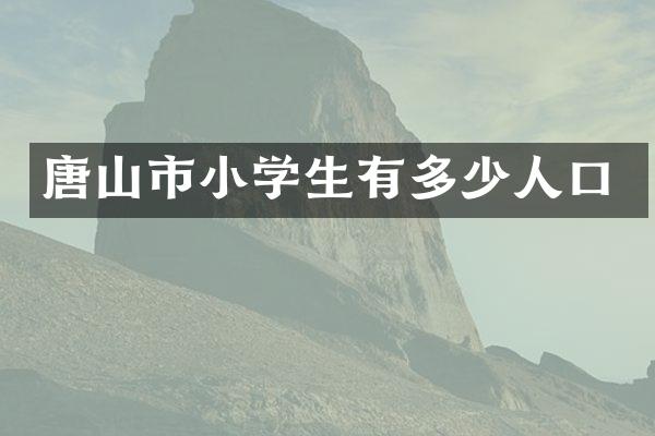 唐山市小学生有多少人口