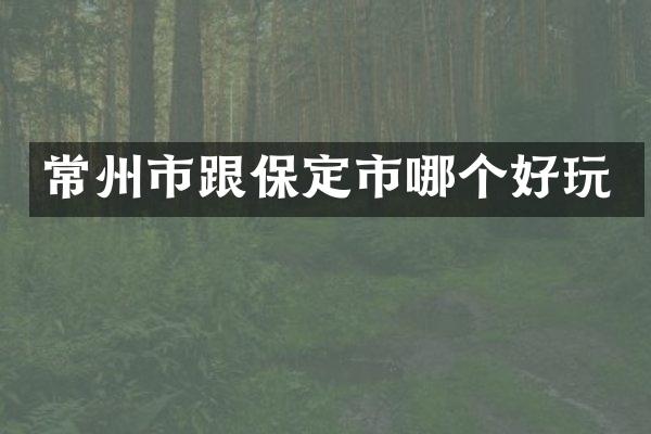 常州市跟保定市哪个好玩