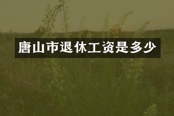 唐山市退休工资是多少