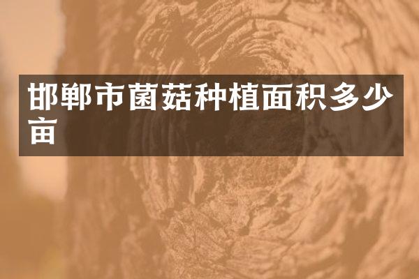 邯郸市菌菇种植面积多少亩