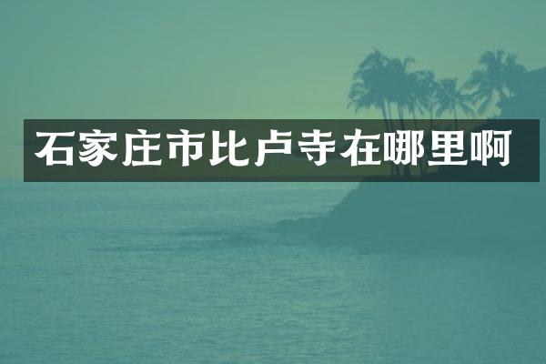 石家庄市比卢寺在哪里啊