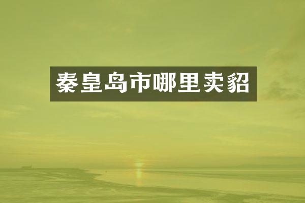 秦皇岛市哪里卖貂